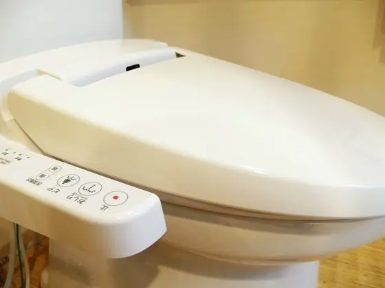 Traditional Oda, Özel Banyo