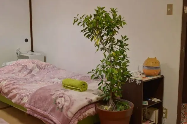 Basic Dört Kişilik Oda