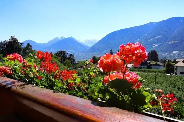 Tek Büyük Yataklı Oda, Balkon