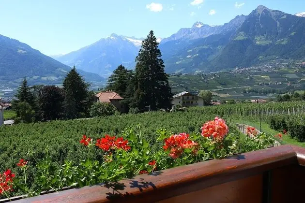Tek Büyük Yataklı Oda, Balkon