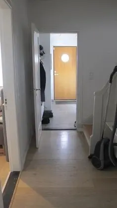Süit