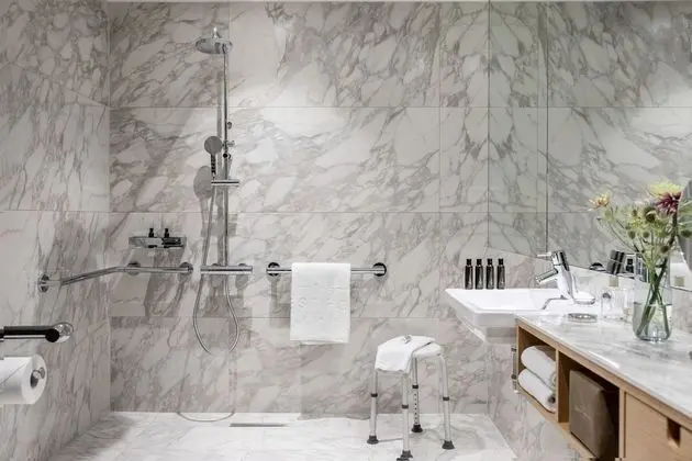 Deluxe Tek Büyük Yataklı Oda, Engellilere Uygun, Park Manzaralı (1. Stock)