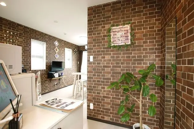 Oda, 1 Yatak Odası (Apartment)