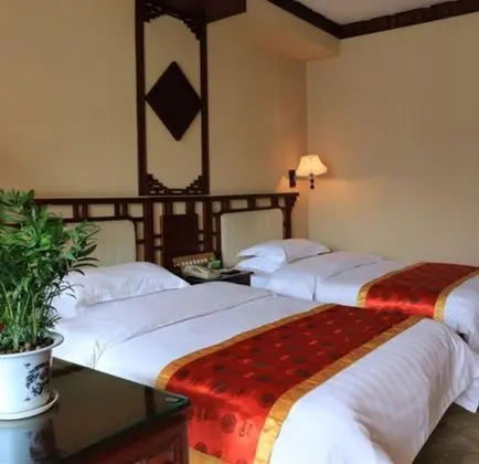 Deluxe Tek Büyük veya İki Ayrı Yataklı Oda