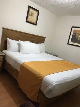 Oda, 1 Yatak Odası