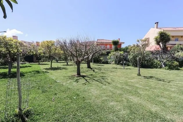 Apart Daire, Sigara İçilebilir