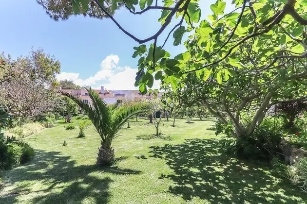 Apart Daire, Sigara İçilebilir