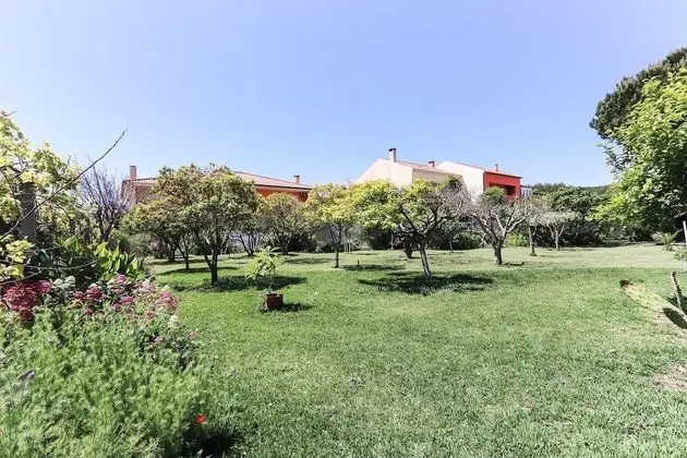 Apart Daire, Sigara İçilebilir
