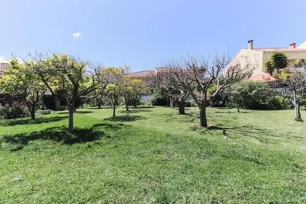 Apart Daire, Sigara İçilebilir