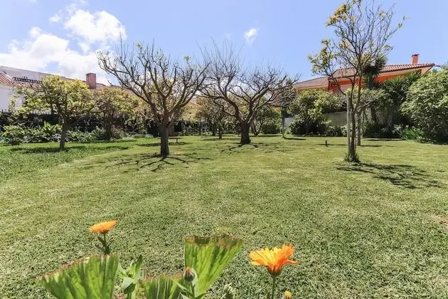 Apart Daire, Sigara İçilebilir