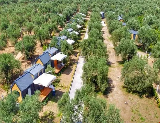 Standart  Tiny House