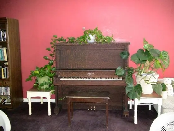 Daire, 1 Yatak Odası, Balkon