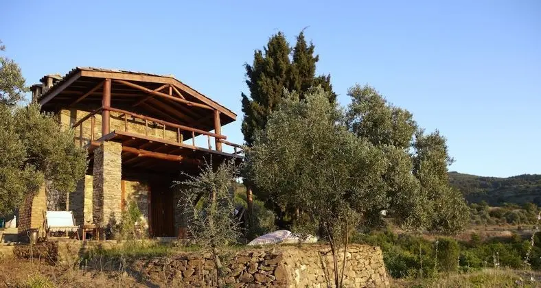 Vineyard House,Vineyard View