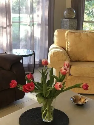 Family Ev, 3 Yatak Odası, Sigara İçilmez