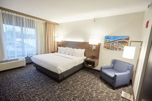Deluxe Stüdyo, 1 En Büyük (King) Boy Yatak