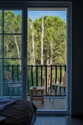 Standart Oda, Orman Manzaralı, Balkonlu