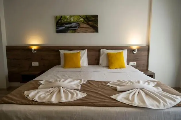 Standart Oda, Orman Manzaralı, Balkonlu