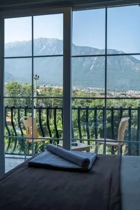 Standart Üç Kişilik Oda, Orman Manzaralı, Balkonlu