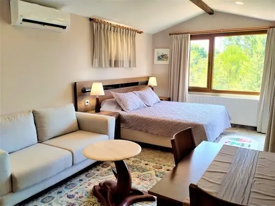 Deluxe Double Room, Balcony, Garden View