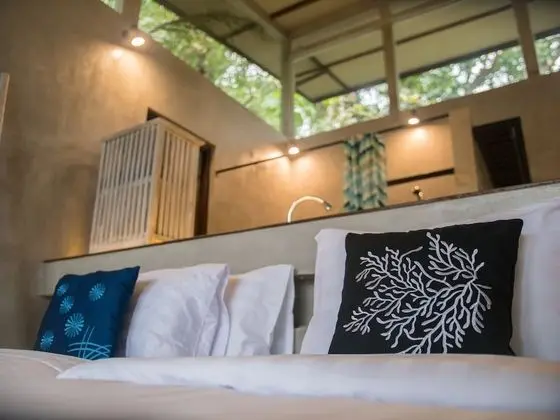 Tek Büyük veya İki Ayrı Yataklı Oda, Balkon