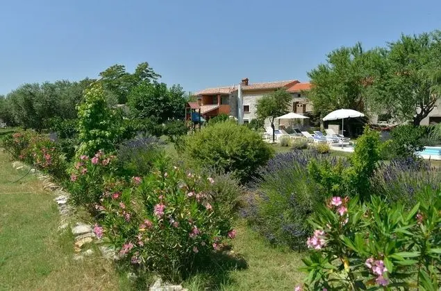 Ev (Gurianum - with pool - H(8))