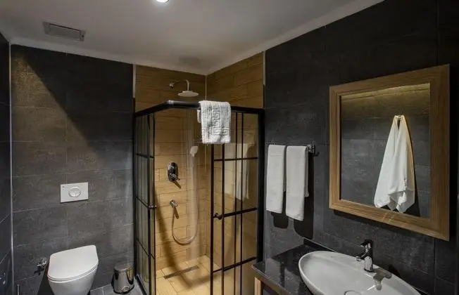 Deluxe Suit 1+1 Oda, Şehir Manzaralı, Balkonsuz