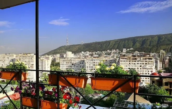 Deluxe Oda, 1 Çift Kişilik Yatak, Şehir Manzaralı