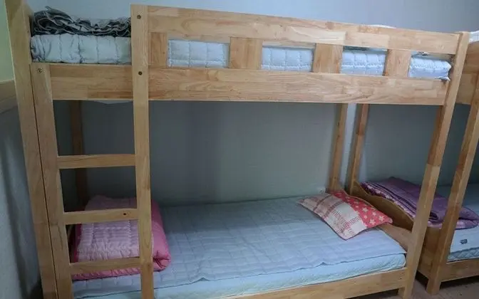 Oda (6 Bed Female Dorm)