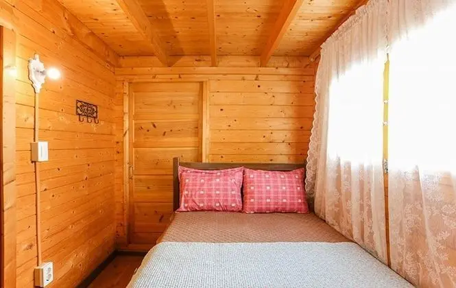 Oda (Pine flavor (Unshared House))