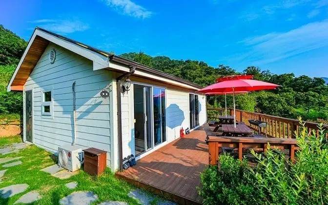 Oda (Cherry Blossom (301))