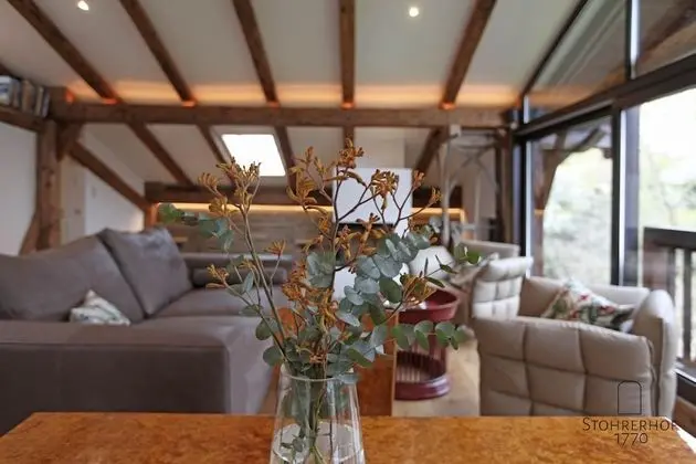 Luxury Çatı Katı Süiti (Penthouse), 2 Yatak Odası, Anti Alerjik, Executive Katı