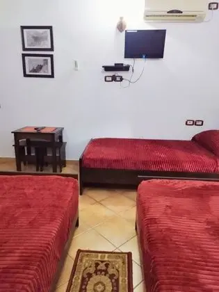 Traditional Üç Kişilik Oda, 1 Yatak Odası, Şehir Manzaralı