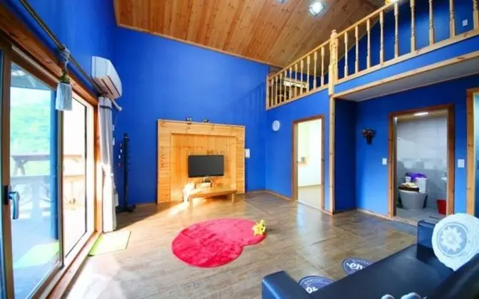 Oda (Chrysanthemum (Duplex))