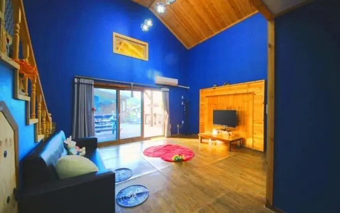 Oda (Chrysanthemum (Duplex))