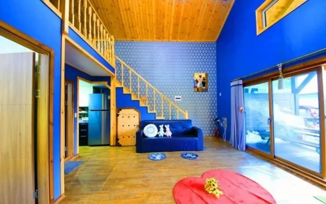 Oda (Chrysanthemum (Duplex))