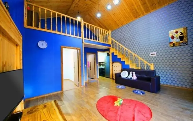 Oda (Chrysanthemum (Duplex))