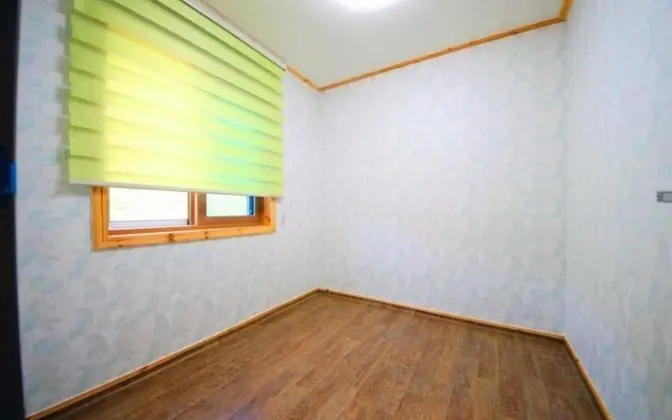 Oda (Chrysanthemum (Duplex))