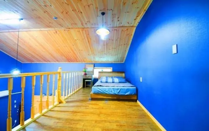 Oda (Chrysanthemum (Duplex))