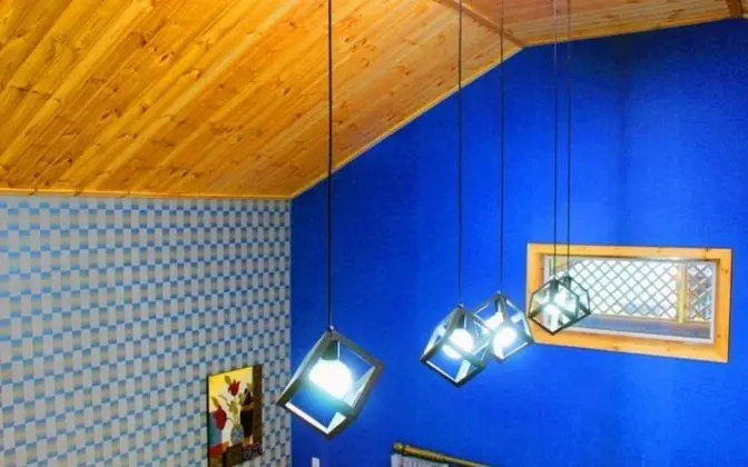 Oda (Chrysanthemum (Duplex))