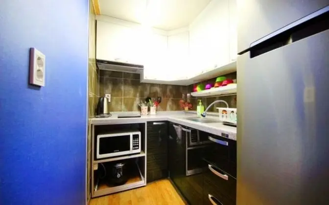 Oda (Chrysanthemum (Duplex))