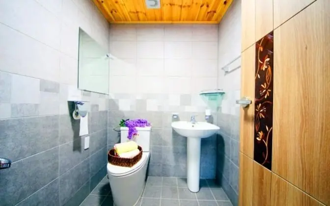 Oda (Chrysanthemum (Duplex))