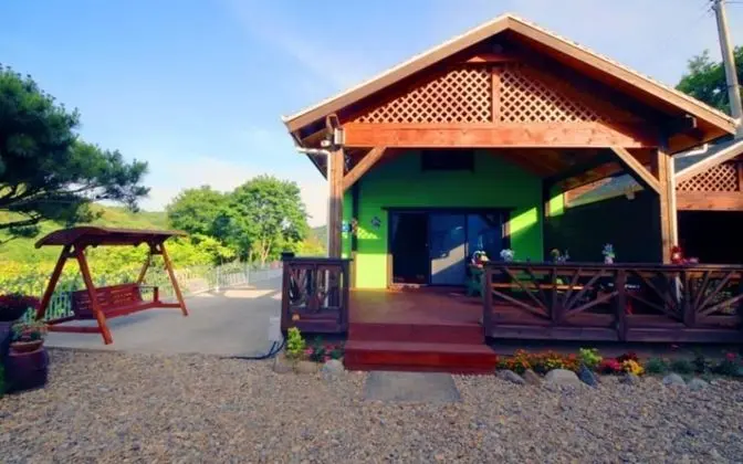 Oda (Chrysanthemum (Duplex))