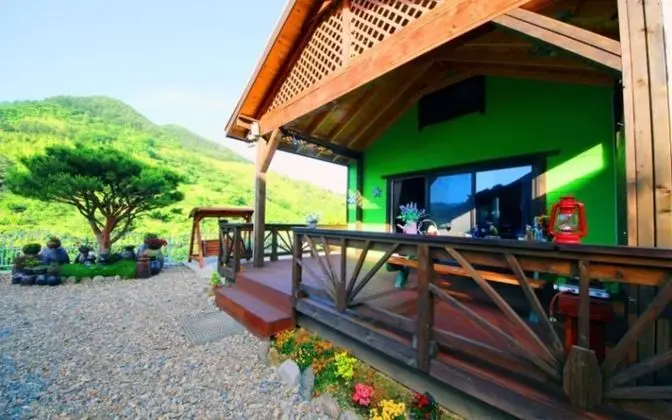 Oda (Chrysanthemum (Duplex))