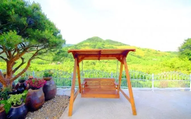 Oda (Chrysanthemum (Duplex))