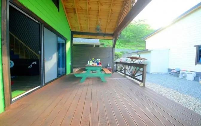 Oda (Chrysanthemum (Duplex))