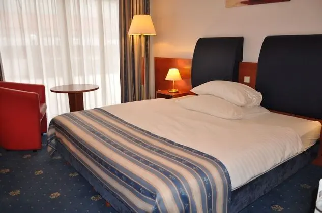 Tek Büyük Yataklı Oda, 1 En Büyük (King) Boy Yatak (Francuski)