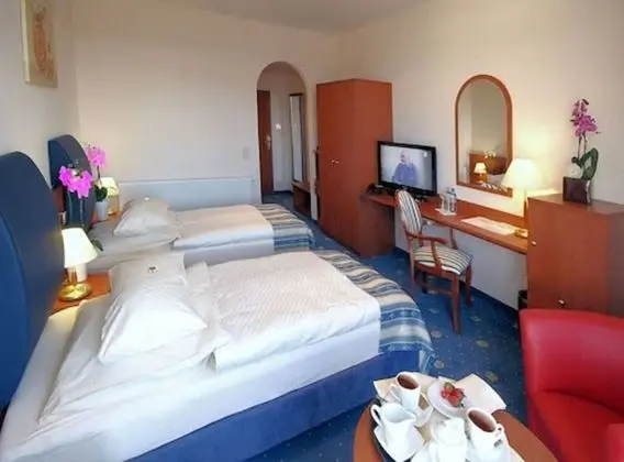 Tek Büyük Yataklı Oda, 1 En Büyük (King) Boy Yatak (Francuski)