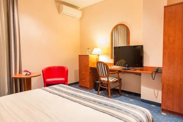 Tek Büyük Yataklı Oda, 1 En Büyük (King) Boy Yatak (Francuski)