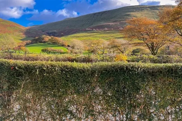 Tek Büyük Yataklı Oda, Banyolu/Duşlu
