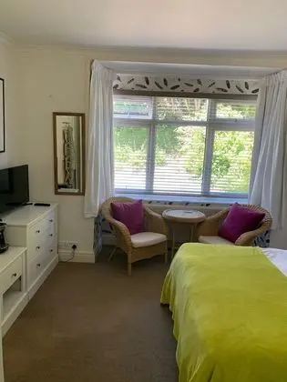 Premium Tek Büyük Yataklı Oda (Ensuite )
